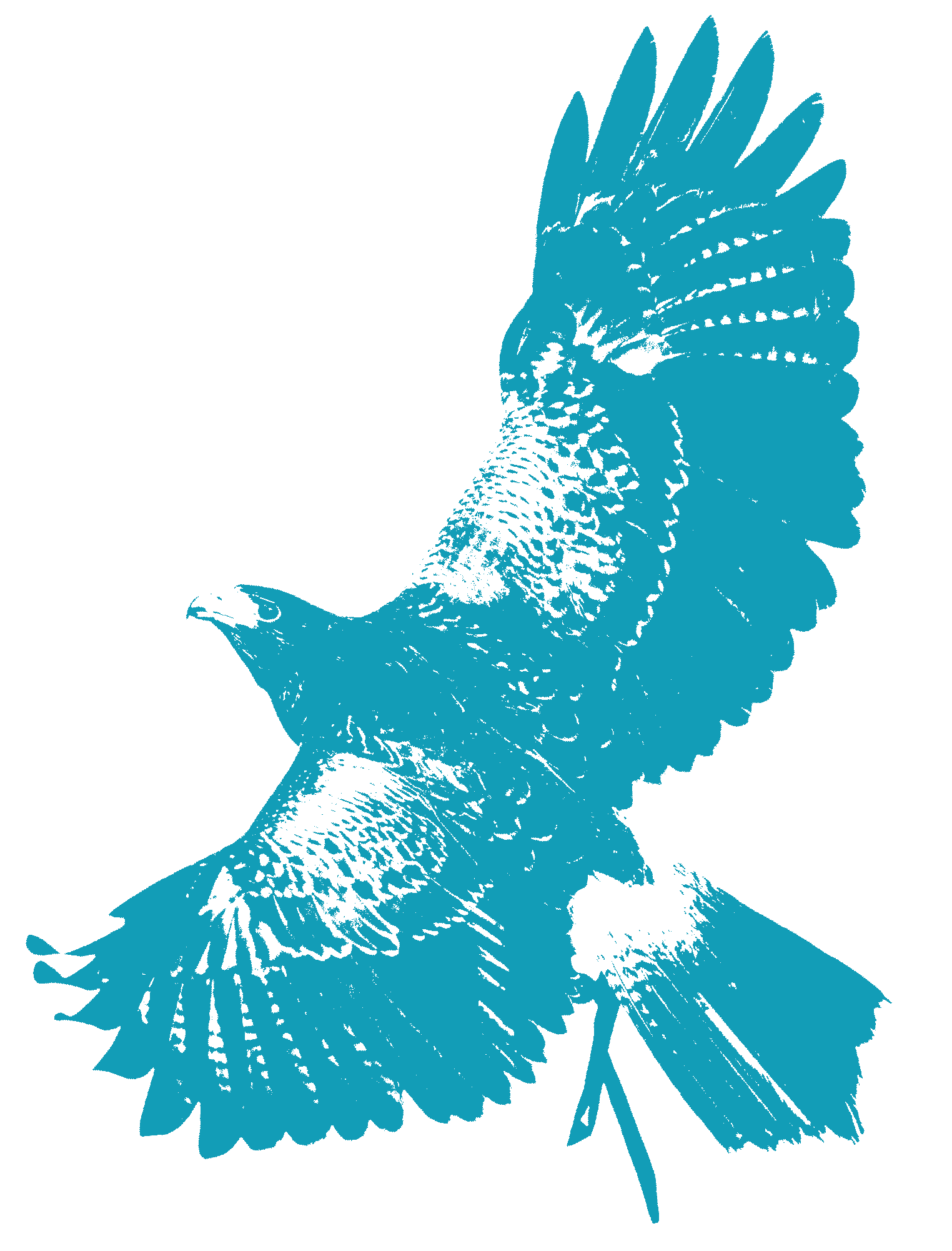 P1 Bad Teinach - Jan26