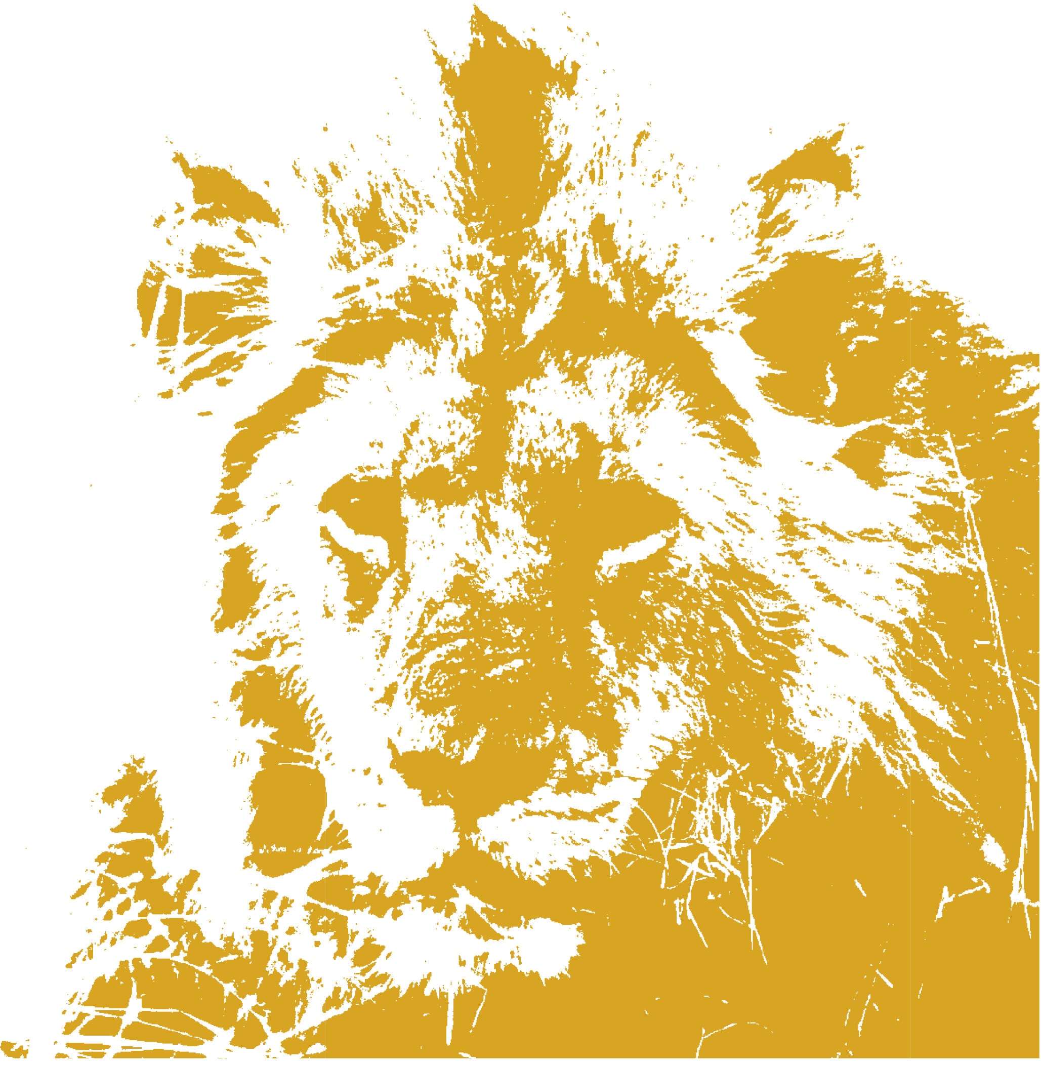 H1 Bad Teinach - Feb26